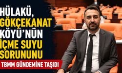 Hülakü, Gökçekanat Köyü'nün İçme Suyu Sorununu TBMM Gündemine Taşıdı