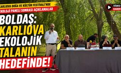 Boldaş: Karlıova Ekolojik Talanın Hedefinde!