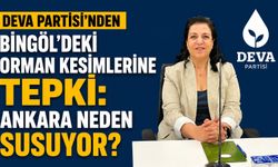 DEVA Partisi'nden Bingöl'deki Orman Kesimlerine Tepki:  Ankara Neden Susuyor?