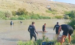 İki Kardeş Çaya Düştü: Biri Hayatını Kaybetti
