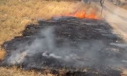 Elazığ’da Otluk Alanda Yangın Paniği
