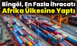 Bingöl, En Fazla İhracatı Afrika Ülkesine Yaptı