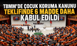 TBMM'de Çocuk Koruma Kanunu Teklifinde 6 Madde Daha Kabul Edildi