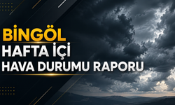 Bingöl Hafta İçi Hava Durumu Raporu
