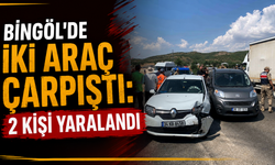 Bingöl’de İki Araç Çarpıştı: 2 Kişi Yaralandı