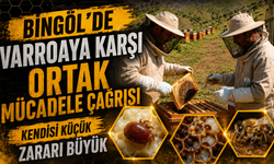 Bingöl'de Varroaya Karşı Ortak Mücadele Çağrısı
