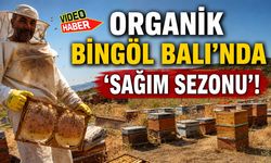 Bingöl Balı’nda ‘Sağım Sezonu’ Başladı!