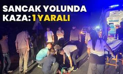 Bingöl Sancak Yolunda Kaza: 1 Yaralı