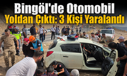 Bingöl'de Otomobil Yoldan Çıktı: 3 Kişi Yaralandı