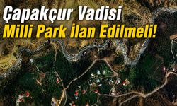 Çapakçur Vadisi Milli Park İlan Edilmeli!