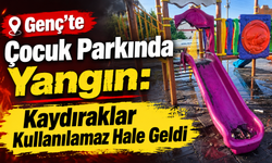 Genç’te Çocuk Parkında Yangın: Kaydıraklar Kullanılamaz Hale Geldi