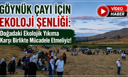 Göynük Çayı İçin Ekoloji Şenliği:  Doğadaki Ekolojik Yıkıma Karşı Birlikte Mücadele Etmeliyiz!