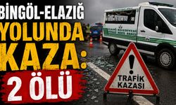 Bingöl-Elazığ Yolunda Kaza: 2 Ölü