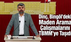 Dinç, Bingöl'deki Maden Arama Çalışmalarını TBMM’ye Taşıdı