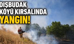 Bingöl'de Korkutan Örtü Yangını!