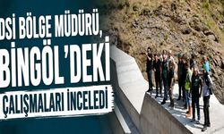 DSİ Bölge Müdürü, Bingöl'deki Çalışmaları İnceledi