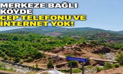 Bingöl'ün Köyünün Dış Dünyayla İletişimi Kesik!