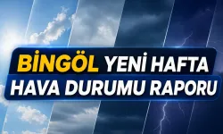 Bingöl Hafta İçi Hava Durumu
