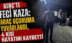 Genç’te Feci Kaza: Araç Uçuruma Yuvarlandı, 4 Kişi Hayatını Kaybetti