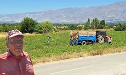 Erzincan Fasulyesi'nde Hasat Zamanı