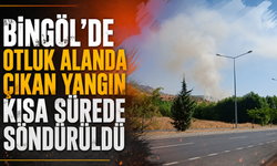 Bingöl’de Otluk Alanda Çıkan Yangın Kısa Sürede Söndürüldü