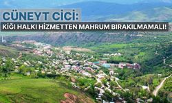 Cüneyt Cici: Kiğı Halkı Hizmetten Mahrum Bırakılmamalı!