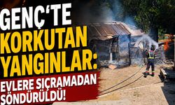 Genç'te Korkutan Yangınlar: Evlere Sıçramadan Söndürüldü!