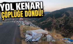 Bingöl’de Köy Yolu Çöplüğe Döndü!