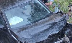 Karakoçan'da Otomobil Şarampole Devrildi: 1 Yaralı