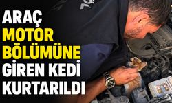 Araç Motor Bölümüne Sıkışan Kedi Kurtarıldı