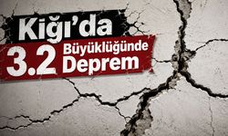 Kiğı’da 3.2 Büyüklüğünde Deprem