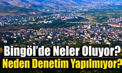 Bingöl’de Neler Oluyor? Neden Denetim Yapılmıyor?