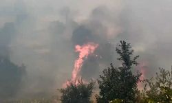 Lice'de Korkutan Yangın