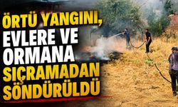 Bingöl'de Korkutan Örtü Yangını!