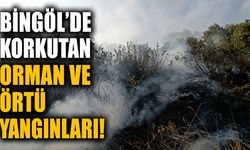 Bingöl'de Korkutan Orman ve Örtü Yangınları!