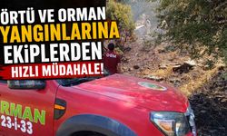 Bingöl'de Korkutan Örtü ve Orman Yangınları
