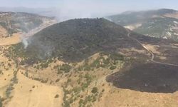 Karakoçan'da Korkutan Orman Yangını