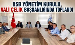Bingöl OSB Yönetim Kurulu ve Müteşebbis Heyet Toplantıları Yapıldı