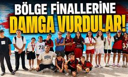 Bingöllü Sporcular, Bölge Finallerine Damga Vurdu!