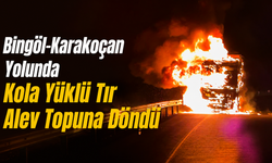 Bingöl-Karakoçan Yolunda Kola Yüklü Tır Alev Topuna Döndü