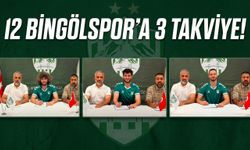 12 Bingölspor’a 3 Takviye!