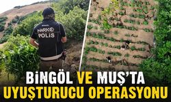 Bingöl ve Muş’ta Uyuşturucu Operasyonu