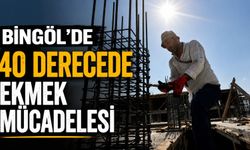 Bingöl'de 40 Derecede Ekmek Mücadelesi