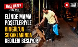 Elinde Mama Poşetleriyle Bingöl'ün Sokaklarında Kedileri Besliyor