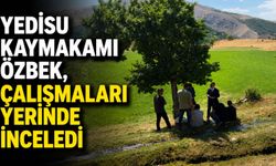 Yedisu Kaymakamı Özbek, Çalışmaları Yerinde İnceledi