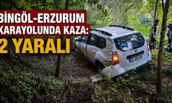 Bingöl-Erzurum Karayolunda Kaza: 2 Yaralı