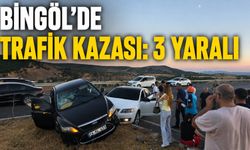 Bingöl-Muş Karayolunda Trafik Kazası: 3 Yaralı