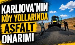 Karlıova'nın Köy Yollarında Asfalt Çalışması