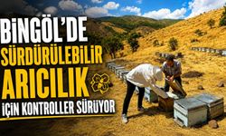 Bingöl’de Sürdürülebilir Arıcılık İçin Kontroller Sürüyor