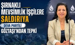 Şırnaklı Mevsimlik İşçilere Saldırıya DEVA Partili Göztaşı’ndan Tepki